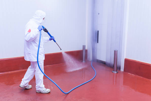 Best Patio and Deck Pressure Washing  in Frazee, MN