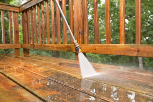 Best Gutter Cleaning  in Frazee, MN